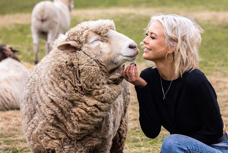 Georgie Purcell patting a sheep