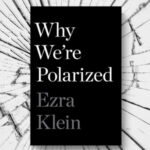 Black book cover with white text for "Why We're Polarized"